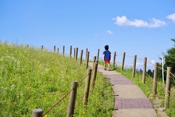 遊歩道を独りで歩く男の子