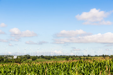 power generator wind turbines on the mountian ridge, Huay Bong, Dan Khun tod, Nakhonratchasima