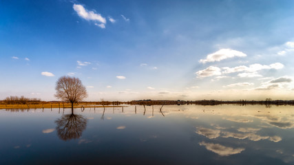 Między Narwią i Biebrzą