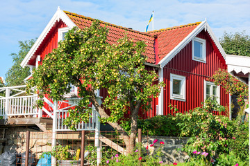 Apple tree with lots of fruit in front of red and white cabin and surrounded by garden environment.