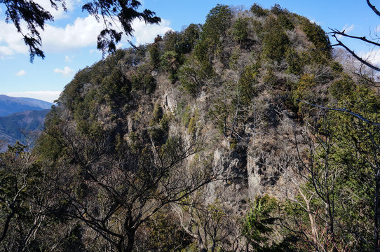 山の岩肌と木々