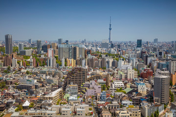 Tokyo. Cityscape image of Tokyo skyline during sunny day in Japan.