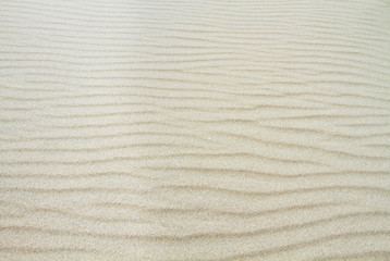 Fototapeta na wymiar Pattern of ripples in sand, caused by wind