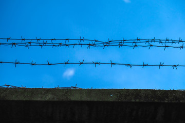 barbed wire on the wall