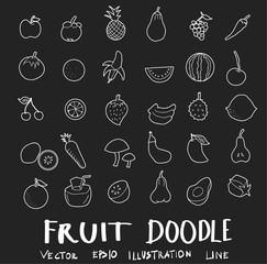 fruit drawing set  doodles vector on chalkboard eps10