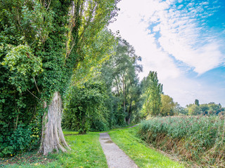 Walkway, Reichenau Island, Germany

