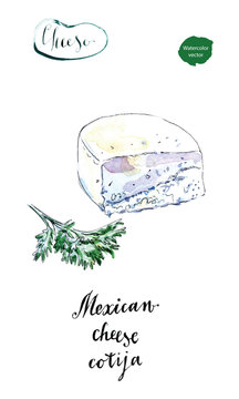 Piece Of Mexican Cotija Cheese With Cilantro In Watercolor