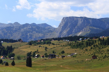 Obraz premium Montenegro, Durmitor National Park