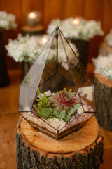 Domestic room with lighting equipment and plants