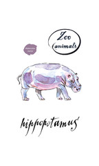 The common hippopotamus in watercolor
