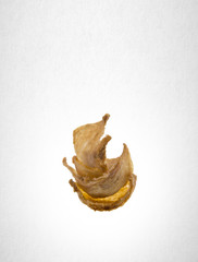 Fototapeta premium bird's nest or dry bird's nest on a background.