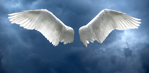Naklejka premium Angel wings with stormy sky background