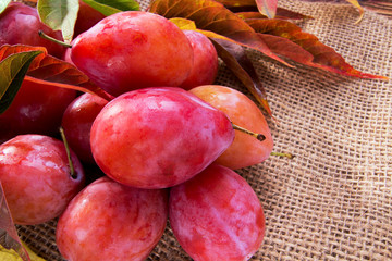 Ripe red plum