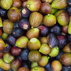 Square background of figs of green and purple fruits