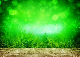 Fototapeta na wymiar Thuja, grüner Hintergrund hinter Holztisch