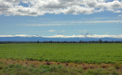 Mountains; the Three Sisters and Broken Top of the Oregon Cascades