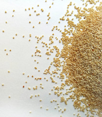Poppy Seeds