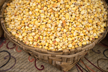corn is a staple food in latin America