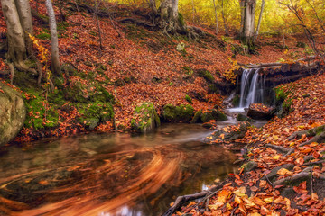 A bright beautiful autumn in the forest. A river with a waterfall, trees with bright leaves.
