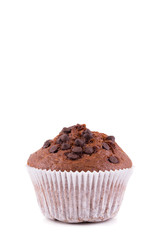One chocolate muffin isolated on white background
