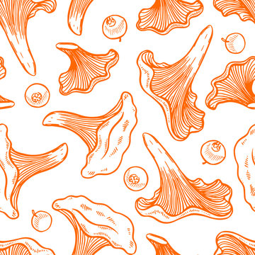 Pretty sketched seamless pattern made of hand drawn chanterelles and cranberries.
