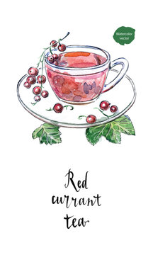 Glass cup of red currant with fresh berries and green leaves in watercolor