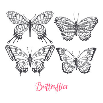 set of sketch butterflies