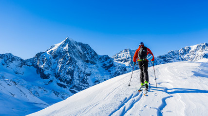 Mountaineer backcountry ski walking up along a snowy ridge with skis in the backpack. In background blue sky and shiny sun and Zebru, Ortler in South Tirol, Italy.  Adventure winter extreme sport. - obrazy, fototapety, plakaty