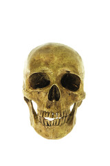 human skull isolated on white background and clipping path