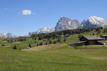 Fototapeta na wymiar Seiser Alm Blick Richtung Langkofel, Südtirol, Italien, Europa