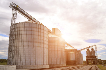 Modern silos for storing grain harvest. © olex_1980