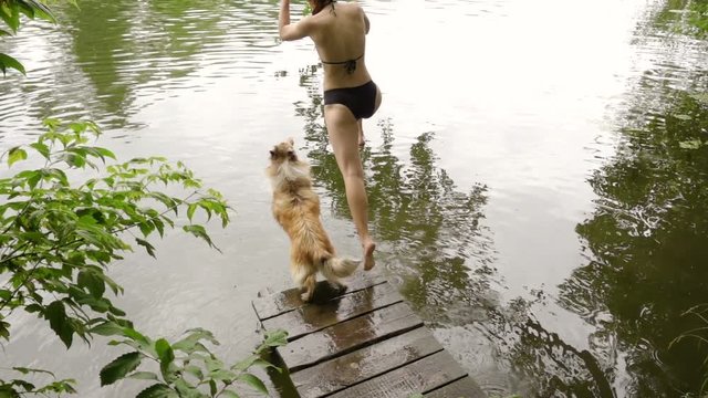 Collie dog with young girl jump into the river