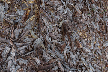 Corteccia d'albero a frammenti