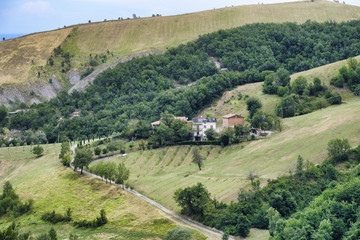 Summer landscape near Serramazzoni (Modena, Italy)