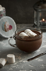 Cup of hot chocolate with marshmallows
