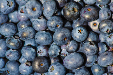 blueberries