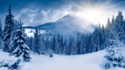Fototapeta na wymiar winter landscape on a blurred background