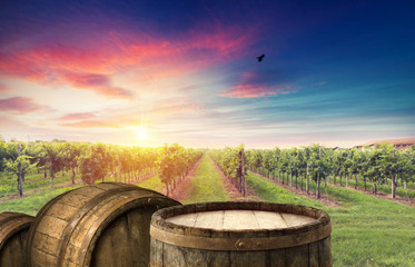 Red wine with barrel on vineyard in green Tuscany, Italy