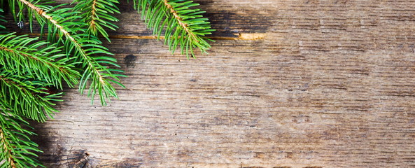 Pine tree branch on rustic wooden background