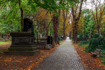 Alley among graves on old cemetery in Prague.