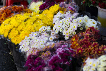 Bunch of flowers sell at flower market in Chiang Mai