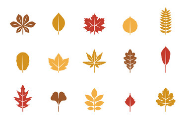 Obraz premium Blätter Herbst & Frühling - Herbstfarben