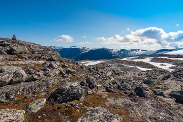 Fototapeta na wymiar Panorama of summer landscape in Norway - river, stones, mountings
