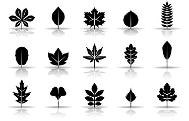 Blätter Herbst & Frühling - Schwarz (Schatten)