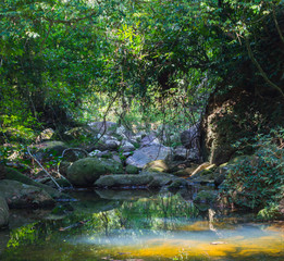 Fototapeta premium Scenery in Khao Sok National Park in Thailand. Khao Sok National Park the rain jungle forest in Surat Thani province