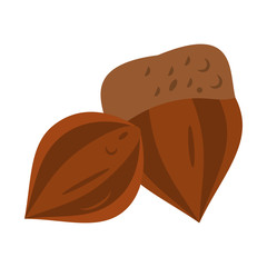 chestnut nut icon image vector illustration design 