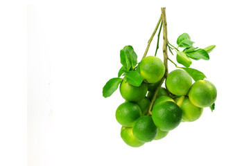 Lime bunch isolated on white background.clipping path.