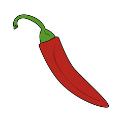 red chili pepper vegetable icon image vector illustration design 
