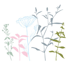 Floral background with meadow grasses, herbs and flowers outlines.