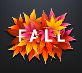 Fall sale. Realistic autumn maple leaves with text. Momiji. Vector illustration.